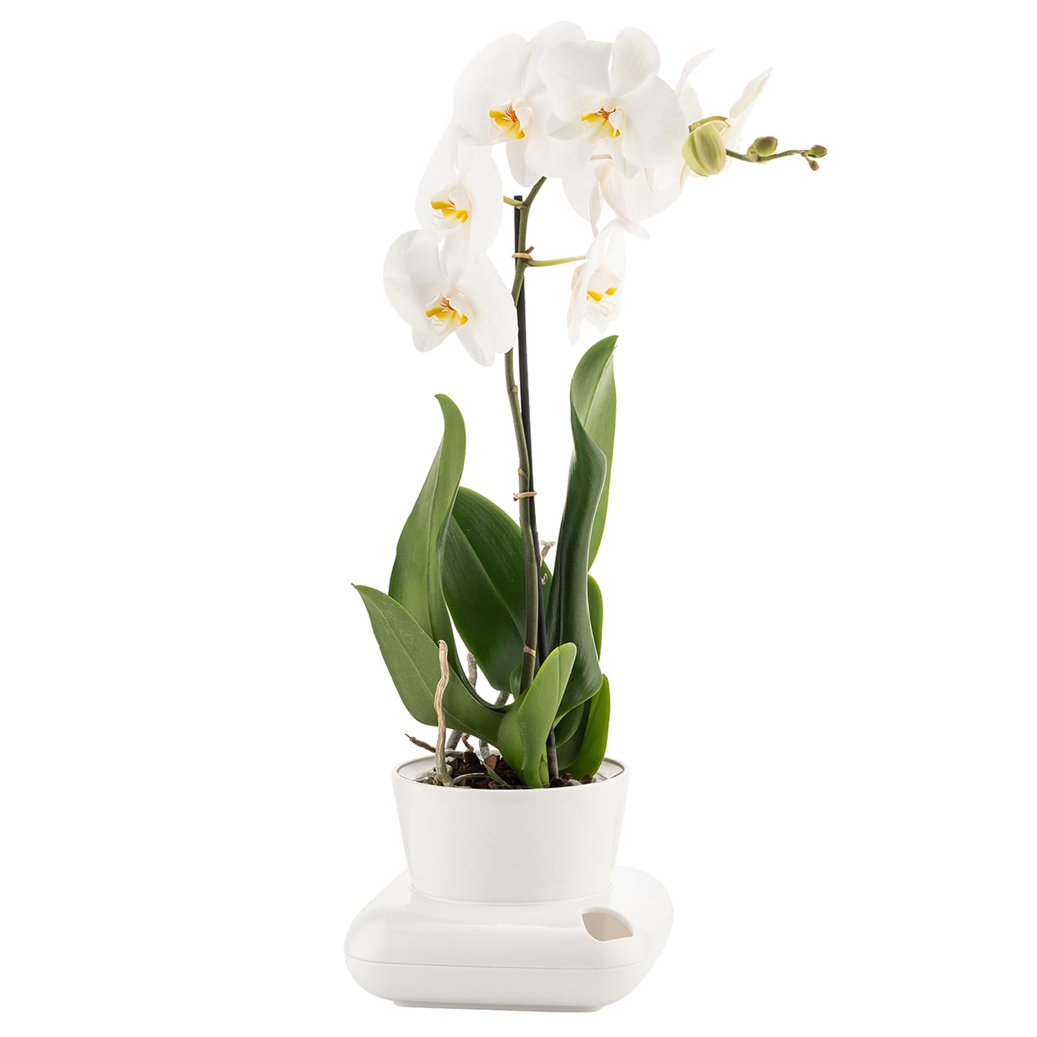 alqua 19CM Self Watering Plant Pots – White Plastic Flower Pots with Drainage – Modern Glossy Planters for Indoor & Outdoor Plants – Large Garden Pots – Elegant Plant Containers