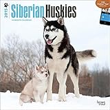 Siberian Huskies 2015 Wall Calendar