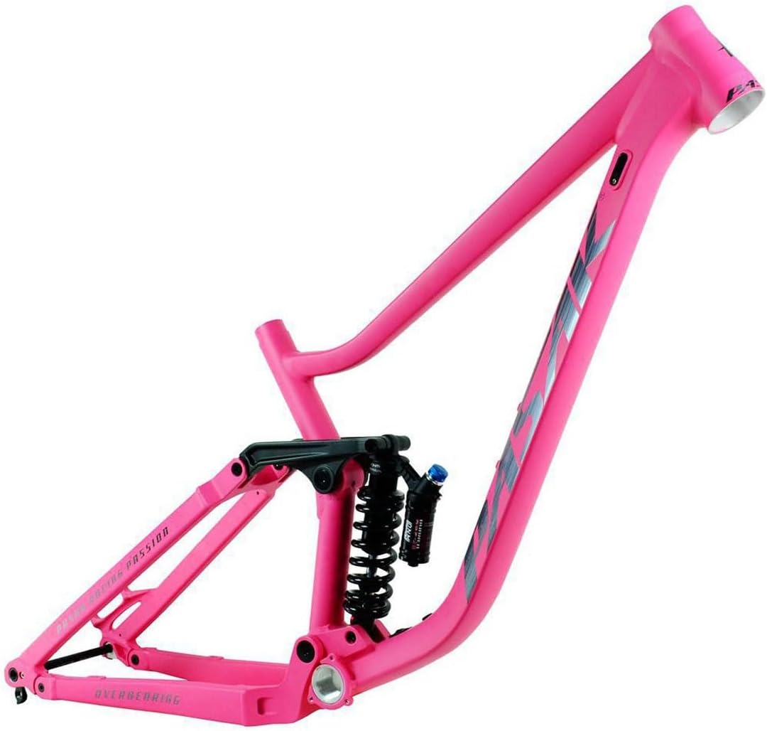 TNi フルカーボン ロードバイクフレームセット S43 光沢無地 ロード