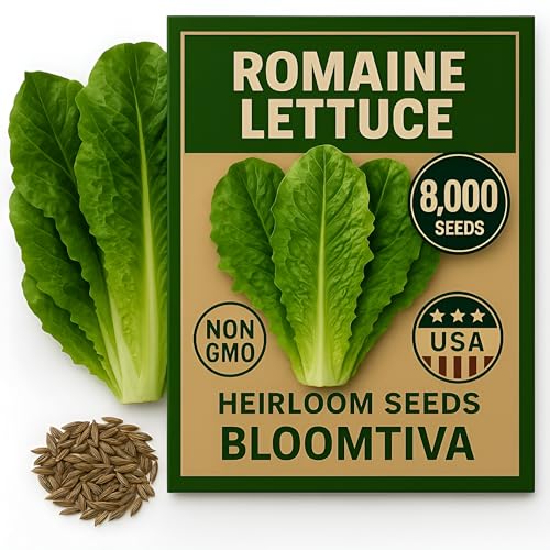 Romaine Lettuce Seeds Parris Island Cos 8000+ Heirloom Non-GMO Seeds High Germination Bulk Pack Grown in USA Ideal for Indoor Hydroponic & Outdoor Vegetable Gardens