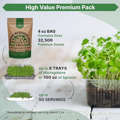 Organo Republic Broccoli Sprouting & Microgreens Seeds - 32,500 Non-GMO Heirloom Seeds, Sprouts in Bulk 4oz Resealable Bag for Planting & Growing in Soil, Coconut Coir, Aeroponic & Hydroponic System