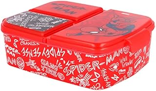 Stor SANDWICHERA WITH COMPARTMENTS | Various licenses available (Disney, Frozen, LOL, Paw Patrol)
