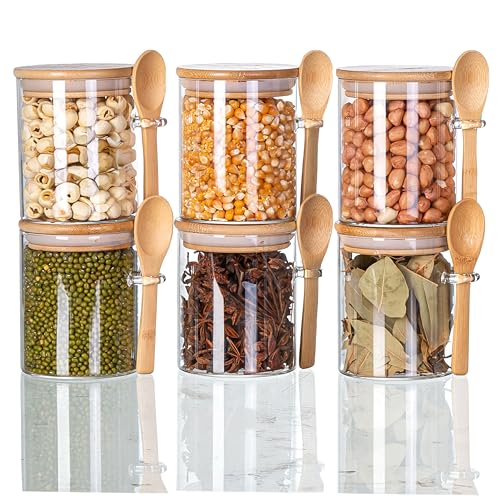JOCHAMPS 6pcs Glass Jars with Spoons and Bamboo Lids Labels and Chalk, Kitchen Storage Jars for Spices Sugar Salt Tea Candies Jellies Herbs, Overnight Oats Breakfast Jars, 8.5 * 10cm(450ml)