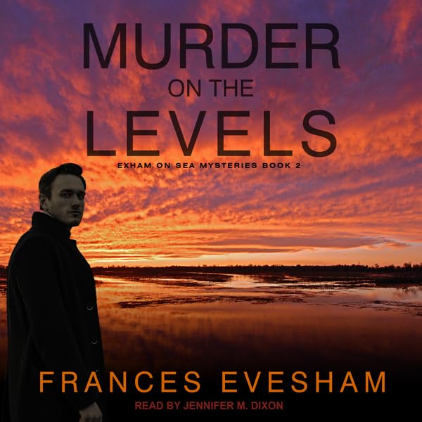 Cover art for Murder on the Levels