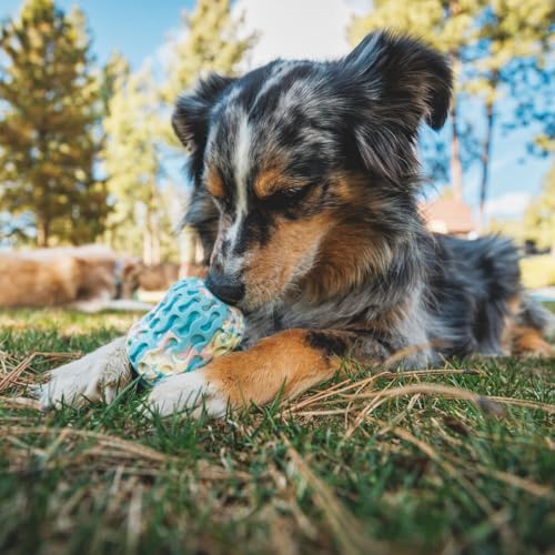 RUFFWEAR Morel Dog Toy, Interactive Dog Chew Toy & Puzzle, Pet Safe Dog Treats Dispenser Ball - Image 4