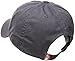 The North Face Unisex Adjustable Horizon Classic Cap (Gray, One Size)