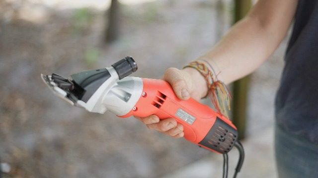 Amazon.com : Sheep Shears Pro 110V 500W Professional Heavy