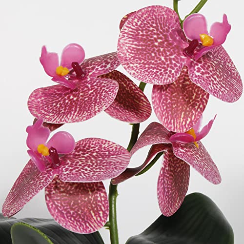 Woledoe Fake Orchids Artificial Flowers, Reptile Terrarium Decor Plants, Bearded Dragon Tank Accessories Fit Crested Gecko Leopard Lizard Chameleon Ball Python Snake Frog - Red #TOP3