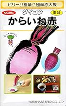 Matsushima Crossing Vegetable Seeds, Spicy Radish Karine (Red) Seeds from Watanabe Seeds