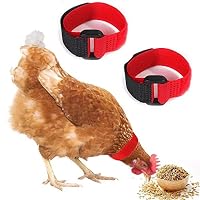 2 Stck Anti-Hahn-Halsband, Kein Krhenhalsband, Verhindert Dass Hhner  Schreien, Nackenband fr Hhner, Schwarz A : Amazon.de: Haustier