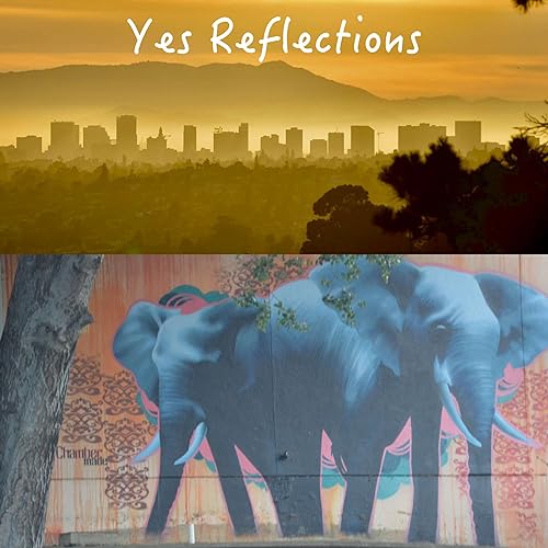 Youth Empowerment School reflections Podcast Por Charles Snyder arte de portada