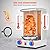 VEVOR Shawarma Grill Machine, 13 lbs Capacity, Chicken Shawarma Cooker Machine with 2 Burners, Gas Vertical Broiler Gyro Rotisserie Oven Doner Kebab Machine, for Home Restaurant Kitchen Parties