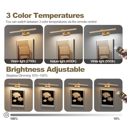 Image of Wireless Picture Lights for Wall,23.5 Inch Brass Art Light for Paintings,Battery Operated Picture Lights with Remote Control,Dimmable Rechargeable Art Lamps for Picture Frame,Gallery