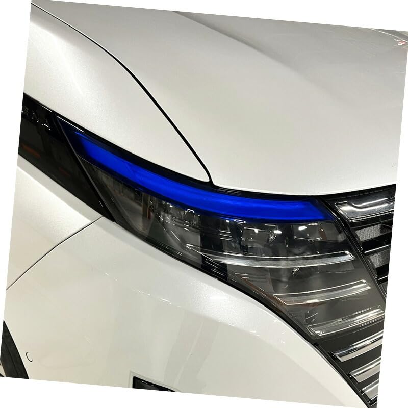 Amazon | 【松印】車種専用 デイライトフィルム セレナ C28/FC28/NC28