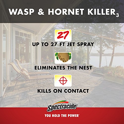 Spectracide Wasp & Hornet Killer, 20-Ounce, Pack Of 12 #TOP3