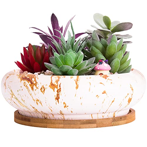 Artketty Macetas Suculentas, Maceta Grande De Bonsái De 18,5 Cm Con Bandeja De Drenaje, Maceta De Mármol Para Cactus Y Plantas De Cerámica Para Interiores Y Exteriores, Maceta Poco Profunda Para Artketty Macetas Suculentas, Maceta Grande De Bonsái De 18,5 Cm Con Bandeja De Drenaje, Maceta De Mármol Para Cactus Y Plantas De Cerámica Para Interiores Y Exteriores, Maceta Poco Profunda Para