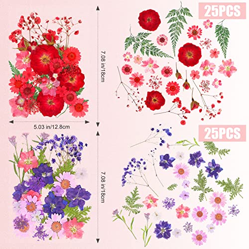 100 Flores Secas Prensadas para Manualidades DIY miniatura 6