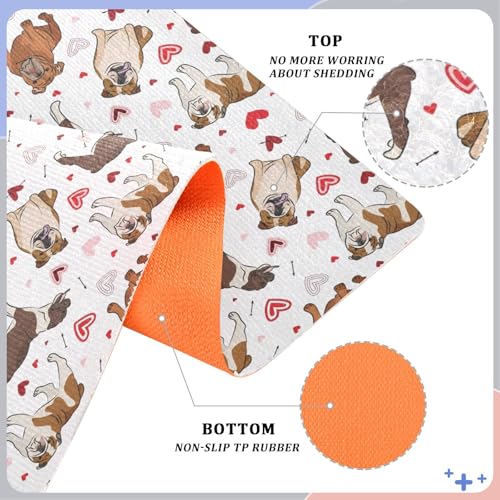 Paillasson doberman teckel 50x80 tapis entrée lavable antidérapant