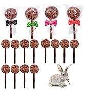 16 Pcs Rabbit Natural Timothy Hay Sticks Guinea Pig Natural Flowers Lollipop Chew Toys Timothy Ha...