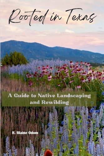 Rooted In Texas: A guide to native plant landscaping and rewilding