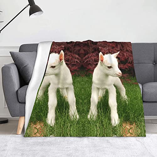 Couverture chèvre flanelle microfibre douce canapé lit voyage - 2