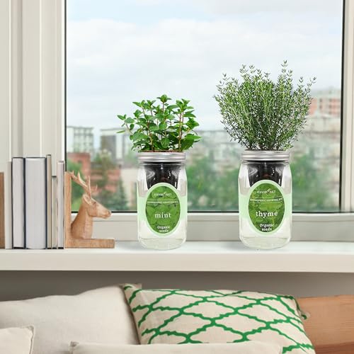 Environet 2-Pack Hydroponic Mason Jar Herb Garden Kit, Indoor Herb Garden Self-Watering Starter Kit, New Christmas Gift for Mom (Mint,Thyme) - Thumbnail 3