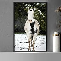 Framed Canvas Wall Art Horse Animals Dramatic Farmhouse/Country Horse Living Room Multicolor Photography - 16x24 inches