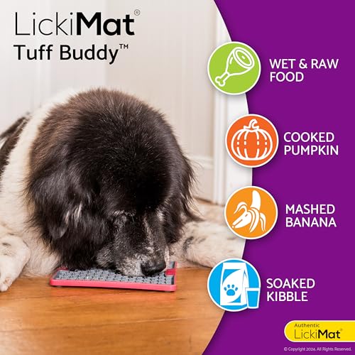 LickiMat Buddy Deluxe - 20 x 20 cm in rot oder türkis, Größe:small - 20 x 20cm, Farbe:türkis, 1 Stück (1er Pack)
