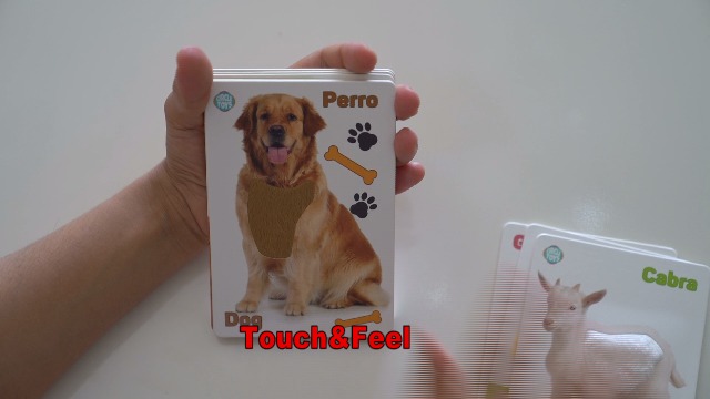 My Touch And Feel English Spanish Bilingual Picture Double