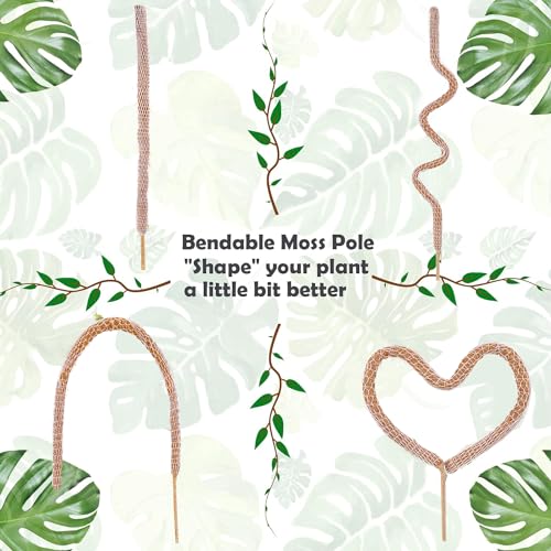 HuiPoLii Moss Pole,Natural Coco Coir Poles,1 Pack 46in Monstera Plant Support,Moss Pole for Plants,DIY Shape,Use Plant Support for Indoor Plants2