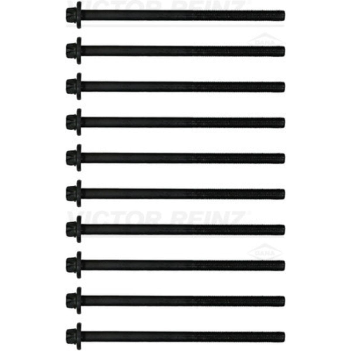 Reinz Cylinder Head Bolt Set (14 10398) : Amazon.de: Automotive