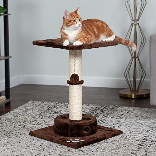 Image of Furhaven 22.5 inch Tall Cat Tree for Indoor Cats, Ft. Sisal Scratching Post, Plush Ball Toy, & Busy Box Toy - Tiger Tough Scratching Post Interactive Playground - Brown, One Size