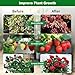Ufelizor Solar Plant Grow Light with Battery Run Day/Night, 2 Heads 40 LED Clip On Full Spectrum Plant Light with 16.4FT Cable/USB Charging/Timer/Dimmable for Outdoor Indoor All Stage Plants