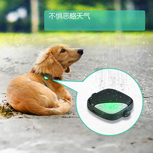 petfon pet gps tracker
