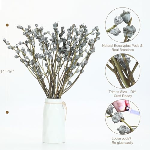 Paquete de 32 tallos secos de eucalipto natural miniatura 3