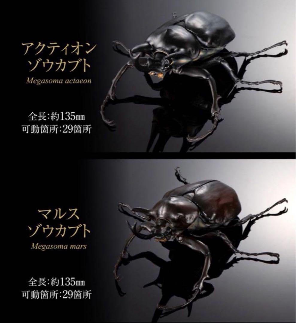 Amazon | いきもの大図鑑アドバンス アクティオンゾウカブト