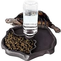 Amazon | IKENOKOI爬虫類 食器 自動給水 餌入れ 水入れ 亀