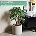 Mozing Cement Plant Pots Indoor - Concrete Planter Pot for Planting - Modern Stone Clay Flower Pot with Drainage Hole for Garden, Home, Office Decor, Grey (5.9 inch)