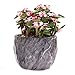 winemana Set of 4 Modern Style Marbling Ceramic Flower Pot Succulent Cactus Bonsai Planter Pots Container (Marbling Container)