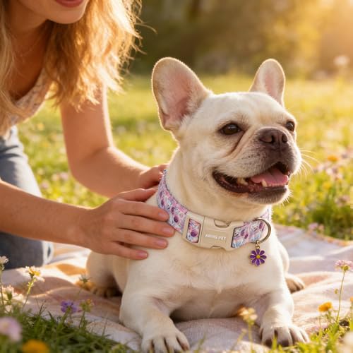 Image of ARING PET Girl Dog Collar for Puppy Small Medium Large Dogs-Purple Rose S | Cute Spring Summer Floral Pet Collars for XS S M L XL Girl Female Dogs, Soft Comfy Sturdy, Neighborhood Stroll Everyday Wear