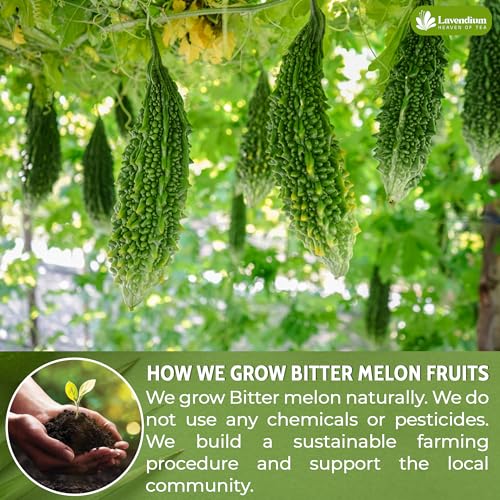 Lavendium, Premium 60 Tea Bags Bitter Melon Fruit Herbal Tea, 100% Natural and Pure, Hand-made, Made With Natural Materials-Corn Fiber Tea Bag, Sugar Free. Caffeine Free. Gluten Free. Vegan