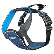 CarSafe Тестван при катастрофа предпазен колан...