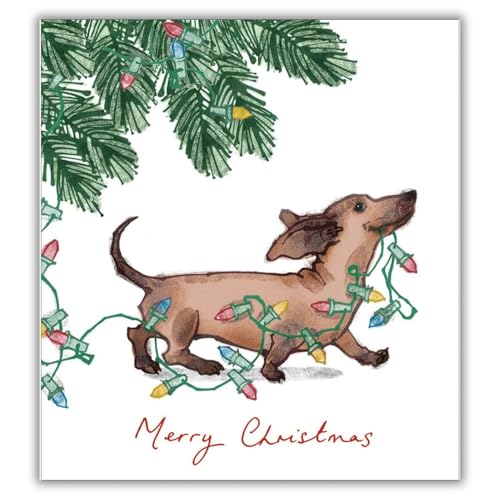 Woodmansterne Lot de 5 cartes de Noël caritatives – Motifs assortis – Motif teckel mignon et guirlande lumineuse – Cartes de Noël festives – Au profit des organismes de bienfaisance britanniques