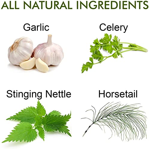 Full Life Reuma-Art X Strength And Hydrolyzed Collagen - Joint Support Supplement - Bovine Collagen Pills - Kosher, Gluten-Free - 90 Veggie Capsules Each #TOP3