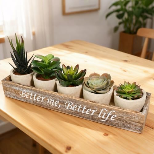 Zithgen 5 PCS Plantas Suculentas Artificiales, Plantas Artificiales Decorativas Planta Artificial Pequeñas Planta Artificial de Maceta con 1 Soporte de Madera para Decoración de Casa Oficina