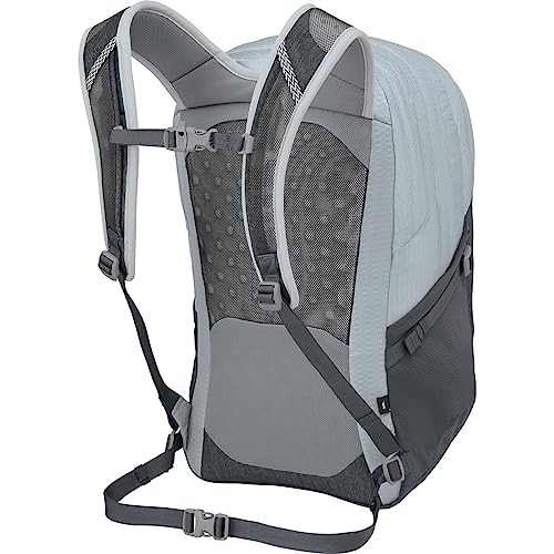 Image of Osprey Comet Laptop Backpack, Silver Lining /Tunnel Vision