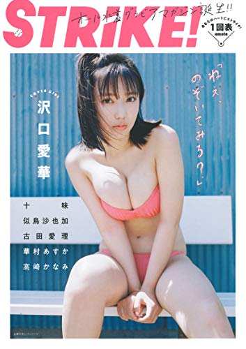 STRiKE! (主婦の友ヒットシリーズ)