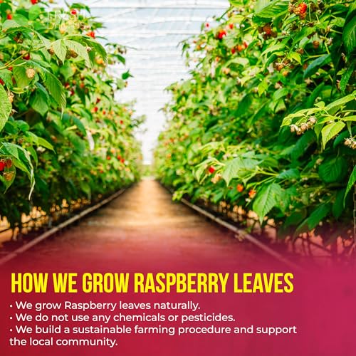 Image of FreshDrinkUS, Premium Tea Herbal Loose Leaves, Tea for Tea Lovers, Loose Leaves Tea, Natural, Pure, Vegan