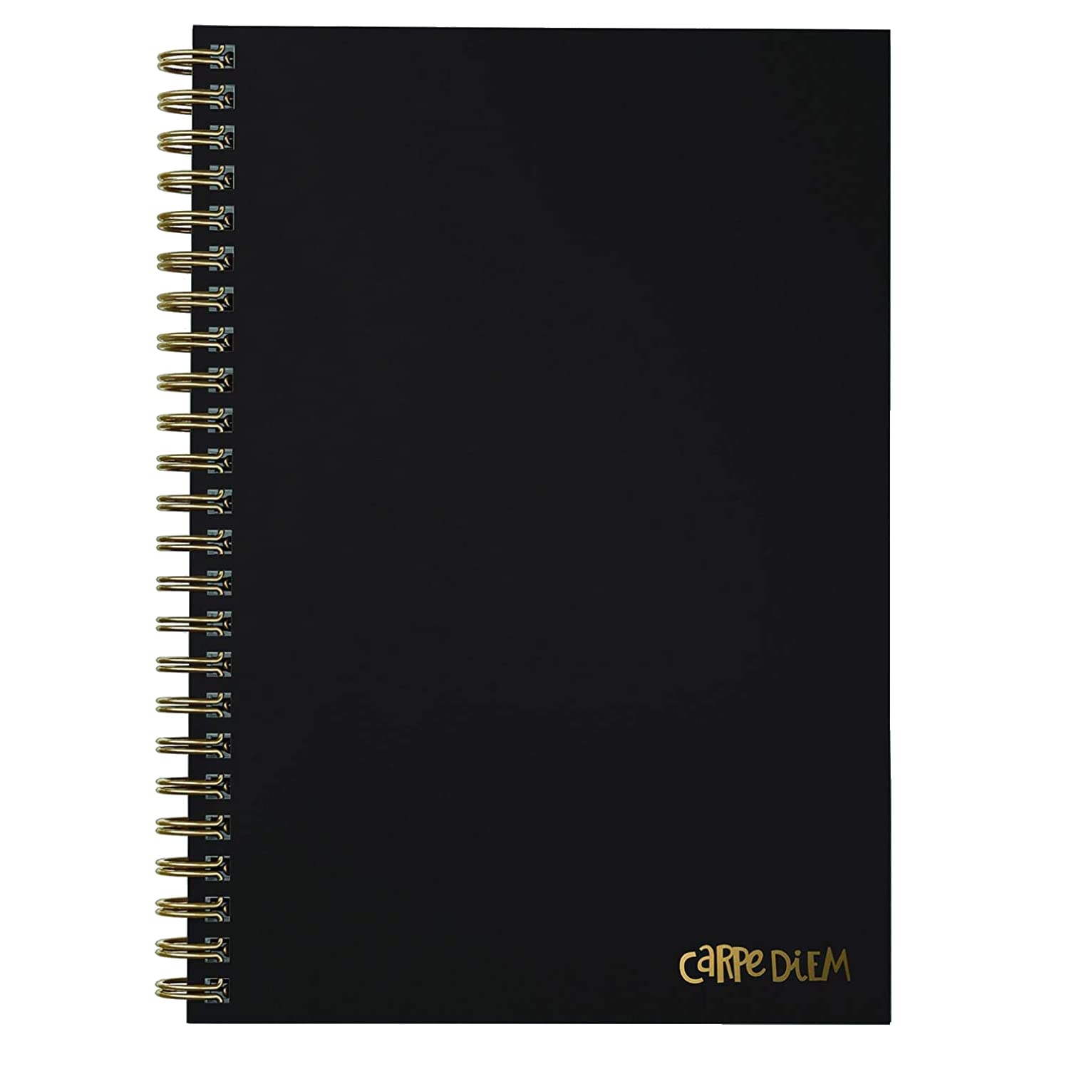 Pukka Pad USA (CARPE DIEM) Black Carpe HRDCVR NOTEBK