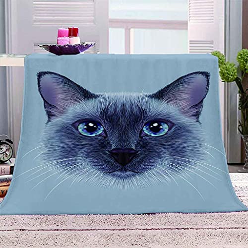 Couverture microfibre douce chaton 150x200cm plaid lit et jeté de canapé gris